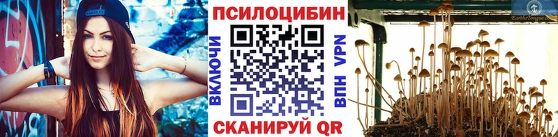 Галлюциногенные грибы мухоморы darknet наркотические препараты Чегем цены наркотик