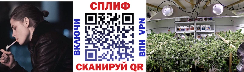 блэк спрут ONION  Чегем  Канабис MAZAR  где найти наркотики 
